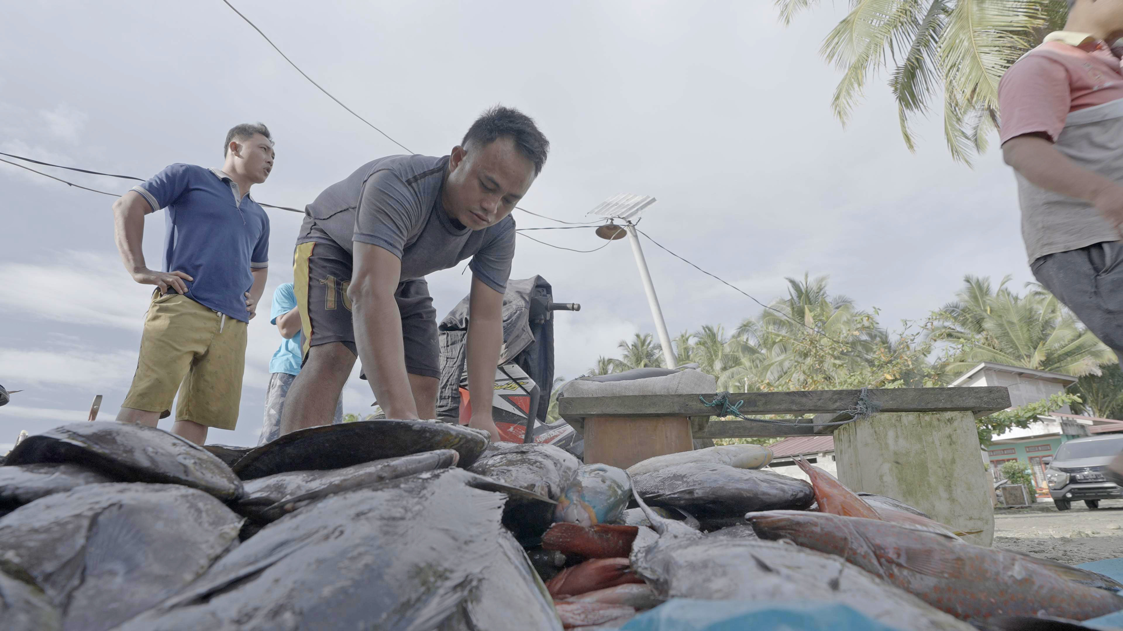 Scaling Ocean Conservation through Protection and Production